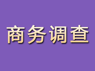 惠济商务调查